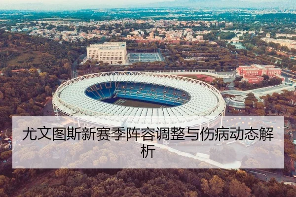 尤文图斯新赛季阵容调整与伤病动态解析